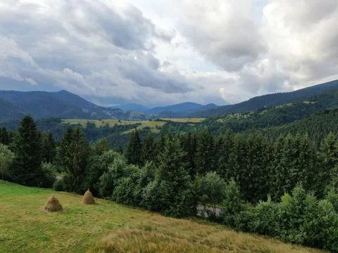 Mountain meadow Foto stock