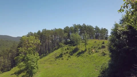 Mountain meadow refreshing landscape view Stock Footage 134600374