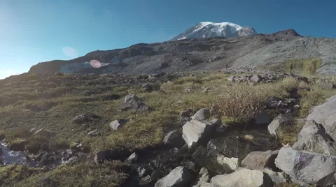 Mountain Meadow Stream with Mount Rainier Stock Footage 62493374