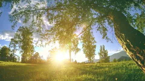 Mountain meadow time-lapse at the summer or autumn time. Wild nature and rural Video stock 149408392
