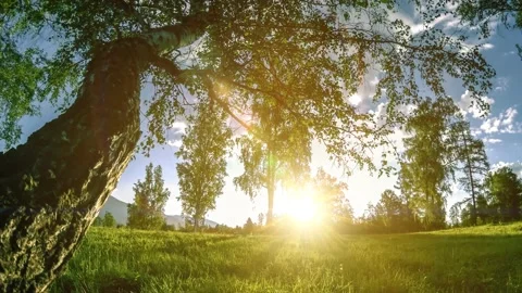 Mountain meadow time-lapse at the summer or autumn time. Wild nature and rural Stock Footage 152985828