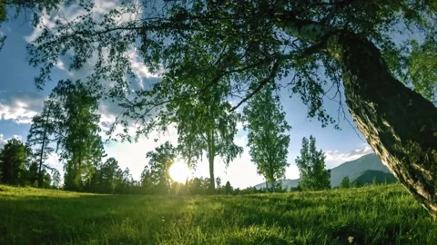 Mountain meadow time-lapse at the summer or autumn time. Wild nature and rural Stock Footage 152985981