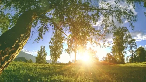 Mountain meadow time-lapse at the summer or autumn time. Wild nature and rural Vidéo 152986206
