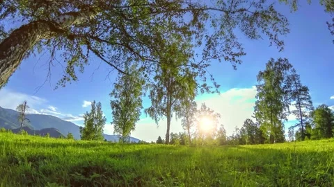 Mountain meadow time-lapse at the summer or autumn time. Wild nature and rural Stock Footage 152986247