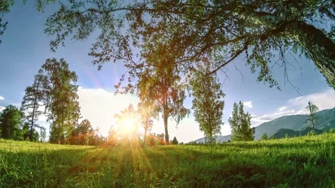 Mountain meadow time-lapse at the summer or autumn time. Wild nature and rural Stock Footage 156042398