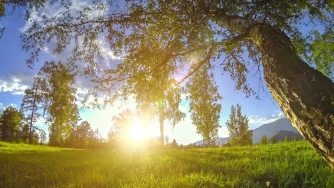 Mountain meadow time-lapse at the summer or autumn time. Wild nature and rural Stock Footage 169651311