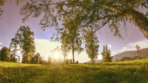 Mountain meadow time-lapse at the summer or autumn time. Wild nature and rural Stock Footage 169651710