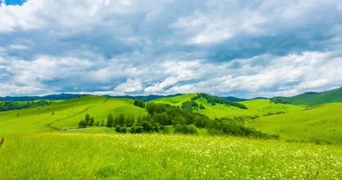 Mountain meadow time-lapse at the summer or autumn time. Wild nature and rural Stock Footage 169656085