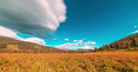 Mountain meadow time-lapse at the summer or autumn time. Wild nature and rural Stock Footage 169662589