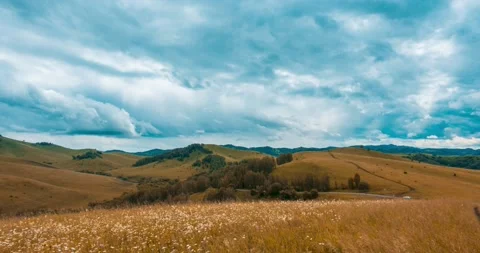 Mountain meadow time-lapse at the summer or autumn time. Wild nature and rural Stock Footage 169713744