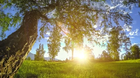Mountain meadow time-lapse at the summer or autumn time. Wild nature and rural Video stock 172509380