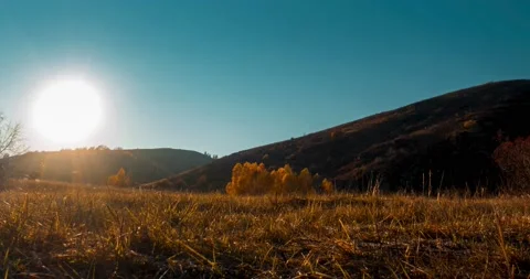 Mountain meadow time-lapse at the summer or autumn sunset time. Wild nature and Stock Footage 221694855