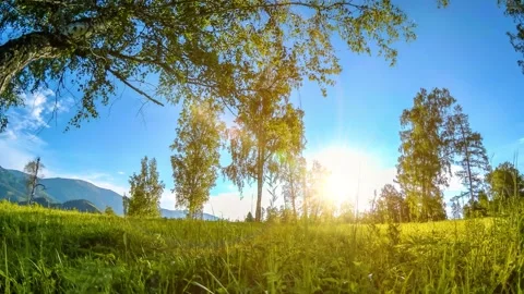 Mountain meadow time-lapse at the summer or autumn time. Wild nature and rural Stock Footage 222500868