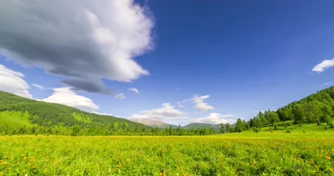 Mountain meadow time-lapse at the summer or autumn time. Wild nature and rural Stock Footage 222502138