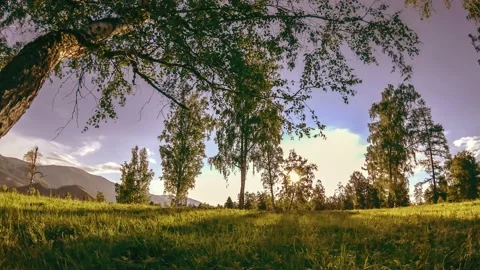 Mountain meadow time-lapse at the summer or autumn time. Wild nature and rural Stock Footage 222511022