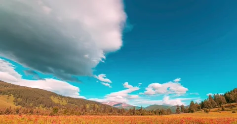 Mountain meadow time-lapse at the summer or autumn time. Wild nature and rural Stock Footage 222519130