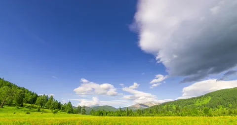 Mountain meadow time-lapse at the summer or autumn time. Wild nature and rural Stock Footage 222519258