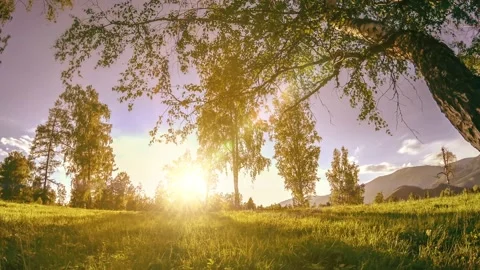 Mountain meadow time-lapse at the summer or autumn time. Wild nature and rural Stock Footage 234159596