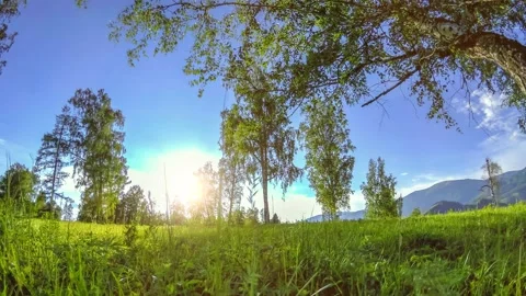 Mountain meadow time-lapse at the summer or autumn time. Wild nature and rural Stock Footage 234164774
