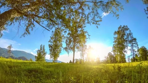 Mountain meadow time-lapse at the summer or autumn time. Wild nature and rural Stock Footage 269512876