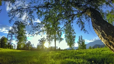 Mountain meadow time-lapse at the summer or autumn time. Wild nature and rural Stock Footage 275193865