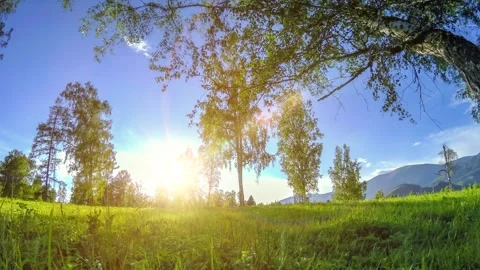 Mountain meadow time-lapse at the summer or autumn time. Wild nature and rural Stock Footage 288832292
