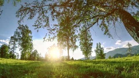 Mountain meadow time-lapse at the summer or autumn time. Wild nature and rural Stock Footage 288935226