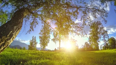 Mountain meadow time-lapse at the summer or autumn time. Wild nature and rural Stock Footage 293601611