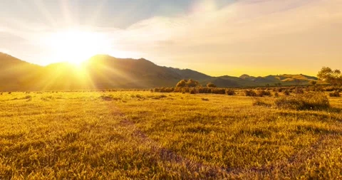 Mountain meadow time-lapse at the summer or autumn sunset time. Wild nature and Stock Footage 294489891