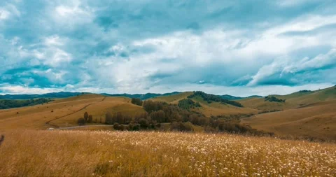Mountain meadow time-lapse at the summer or autumn time. Wild nature and rural Stock Footage 294490953