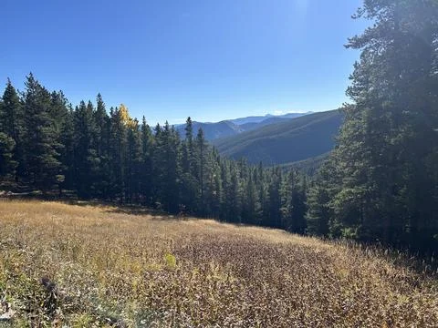 Mountain Meadow Valley Stock Photos