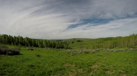 Mountain meadow with a view of the Rocky Mountains Stock Footage 65083105