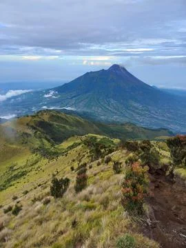 Mountain merbabu Stock Photos