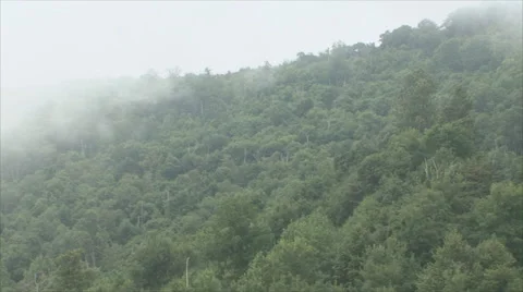 Mountain Mist Stock Footage 40594389