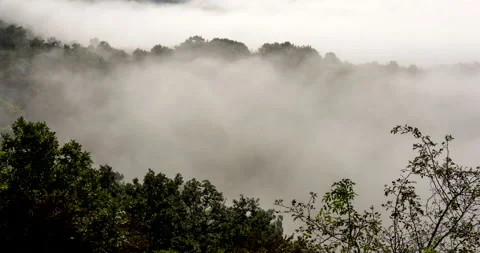 Mountain Mist Rising, time-lapse. Stock Footage 132893326