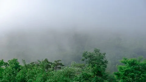 Mountain Morning Video stock 108700265