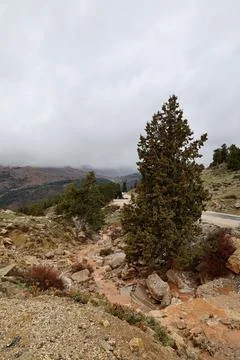 Mountain muddy stream Stock Photos