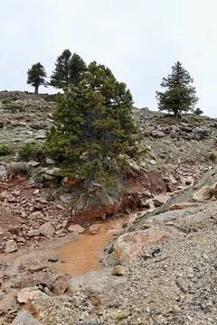 Mountain muddy stream Stock Photos