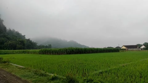 Mountain nature fields Video stock 205830882