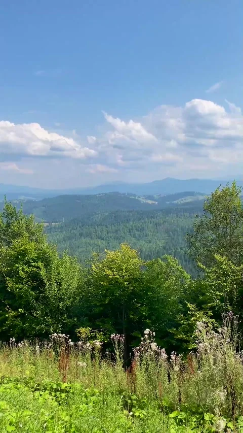Mountain nature. Mountain View. Summer day in the Carpathians.  Stock Footage 249001896