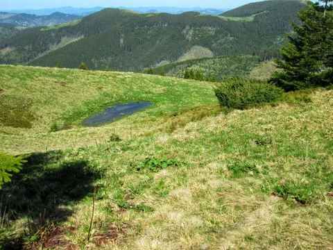 Mountain Oasis Stock Photos