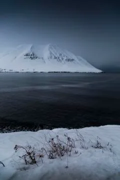 Mountain & ocean. Iceland. Stock Photos
