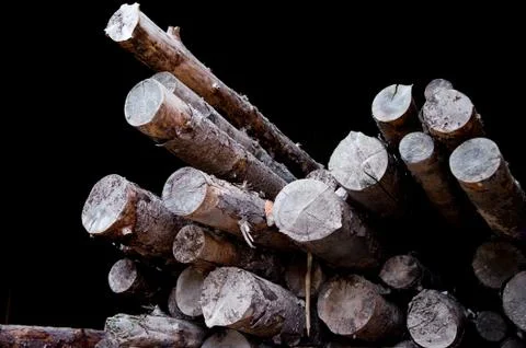 A mountain of old untreated tree trunks against the background of a dark room Stock Photos