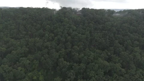 Mountain Page County - Aerial view 库存影片 313016888