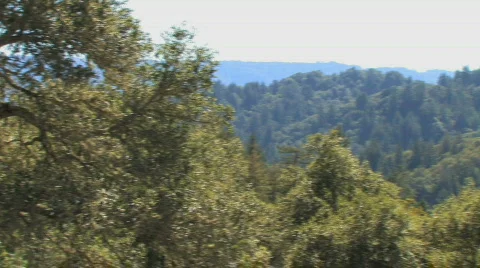 Mountain Pan Video stock 612393