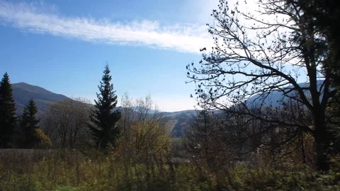 Mountain panorama behind the trees, breathtaking green hills, blue sky Vídeo Stock 124076658