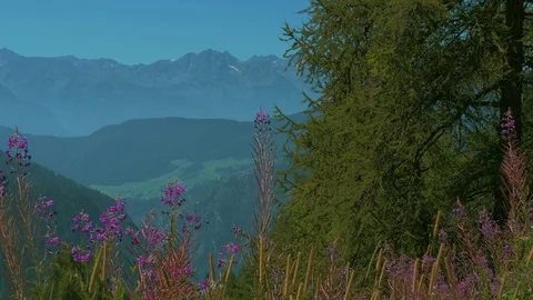 Mountain panorama Stock-Footage 75451026