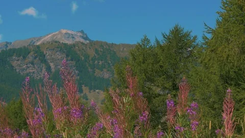 Mountain panorama 스톡 동영상 75451122