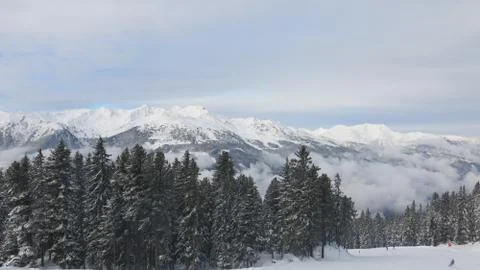 Mountain Panorama with forest Stock Photos