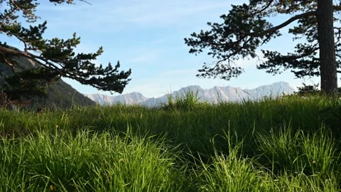 A mountain panorama with grass moving in the wind in the foreground Video stock 219363905